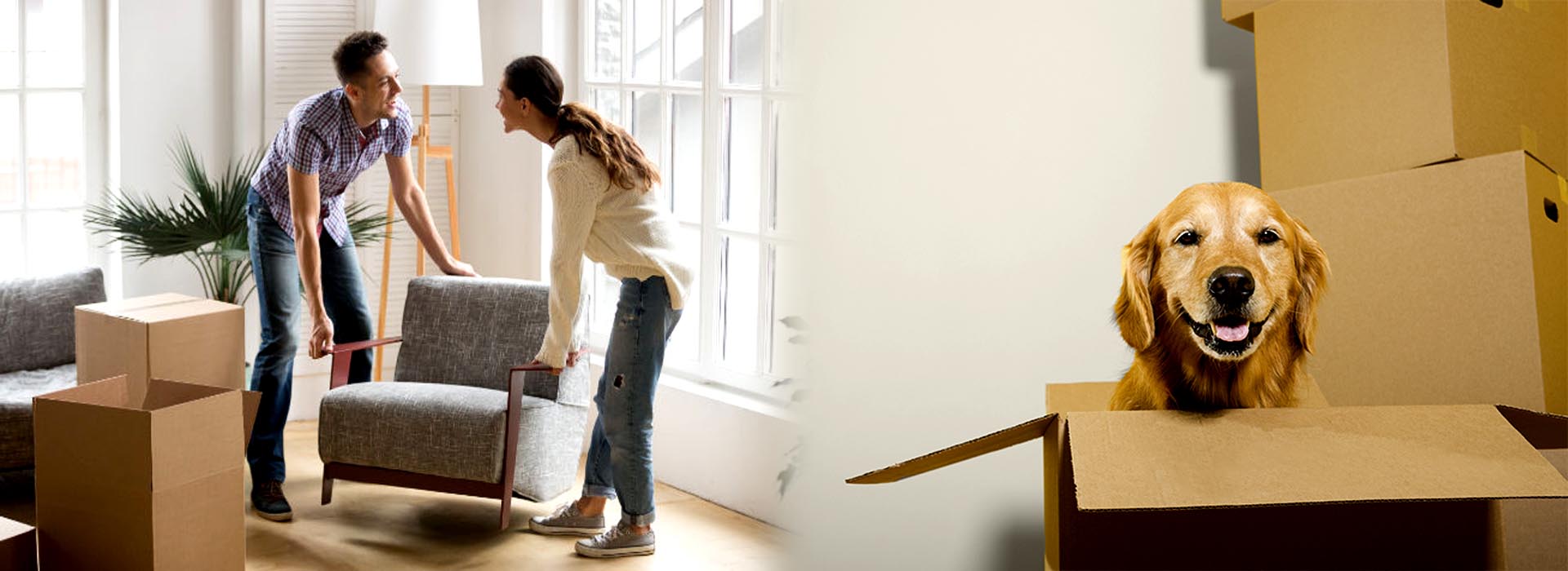 Harsh Packers and Movers