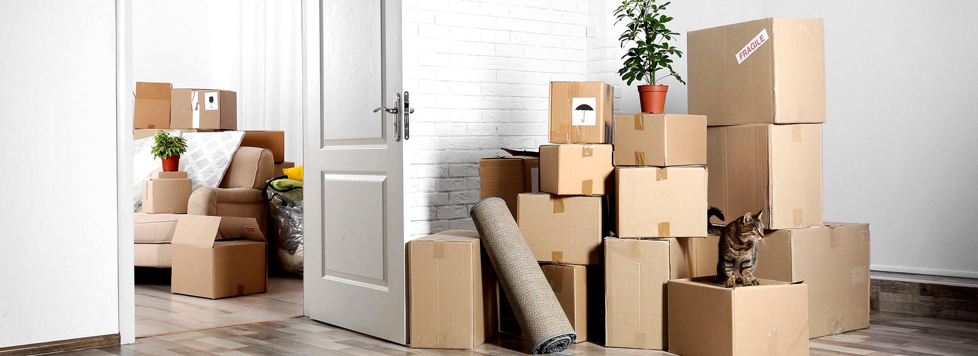 Harsh Packers and Movers